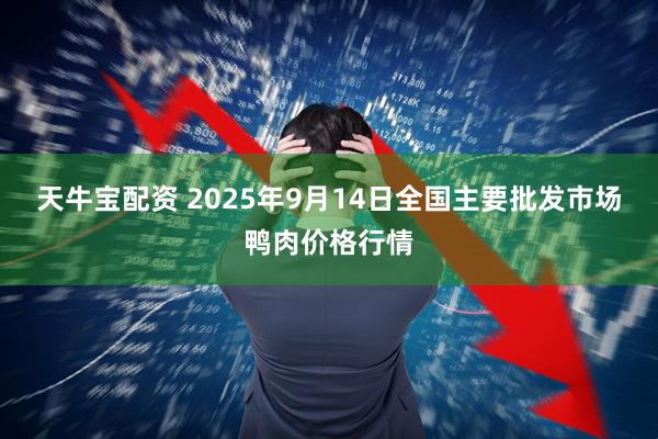 天牛宝配资 2025年9月14日全国主要批发市场鸭肉价格行情