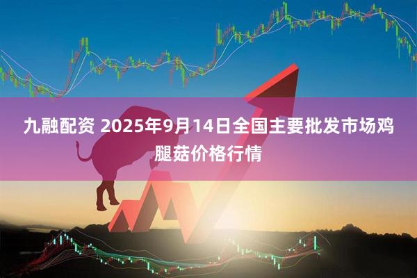 九融配资 2025年9月14日全国主要批发市场鸡腿菇价格行情