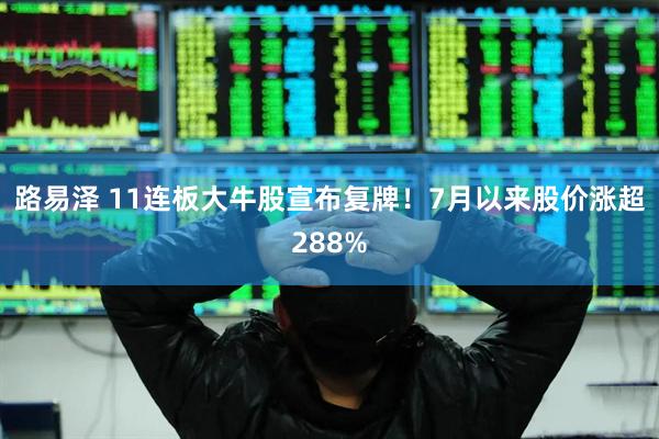 路易泽 11连板大牛股宣布复牌！7月以来股价涨超288%