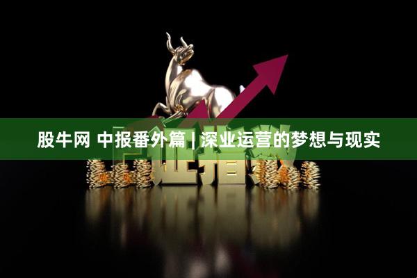 股牛网 中报番外篇 | 深业运营的梦想与现实