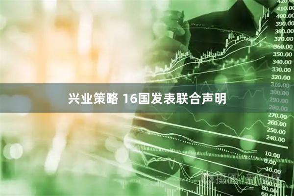 兴业策略 16国发表联合声明
