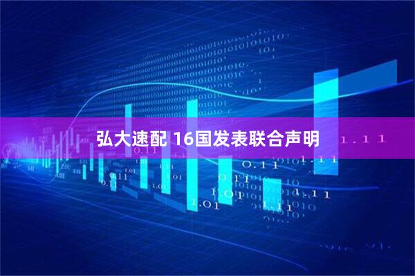弘大速配 16国发表联合声明