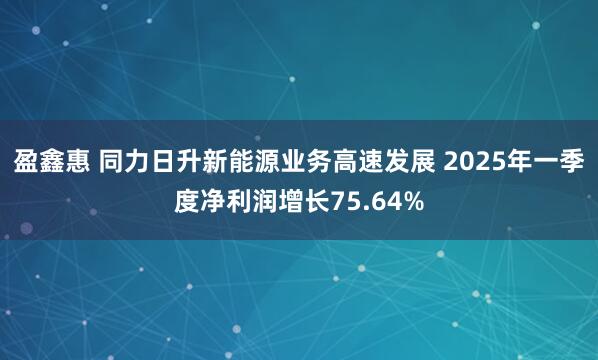 盈鑫惠 同力日升新能源业务高速发展 2025年一季度净利润增长75.64%