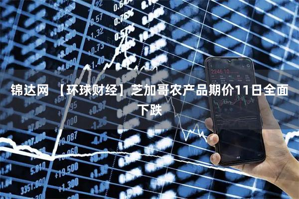 锦达网 【环球财经】芝加哥农产品期价11日全面下跌
