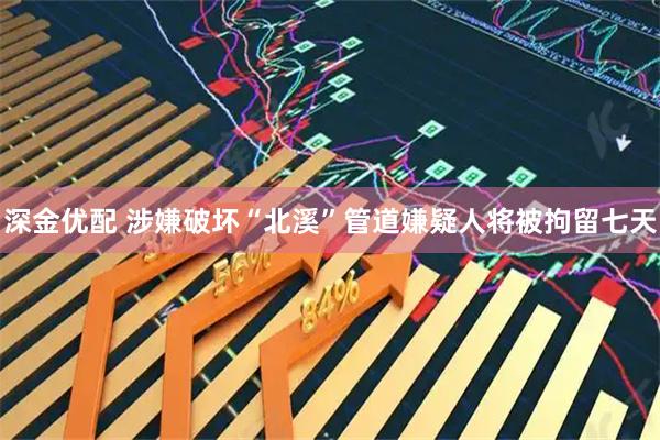 深金优配 涉嫌破坏“北溪”管道嫌疑人将被拘留七天