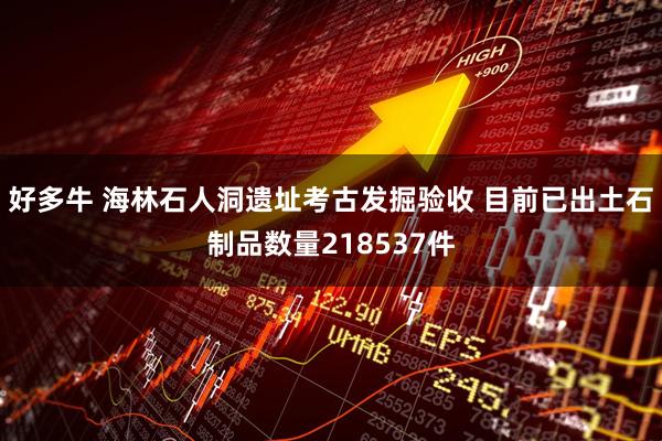 好多牛 海林石人洞遗址考古发掘验收 目前已出土石制品数量218537件