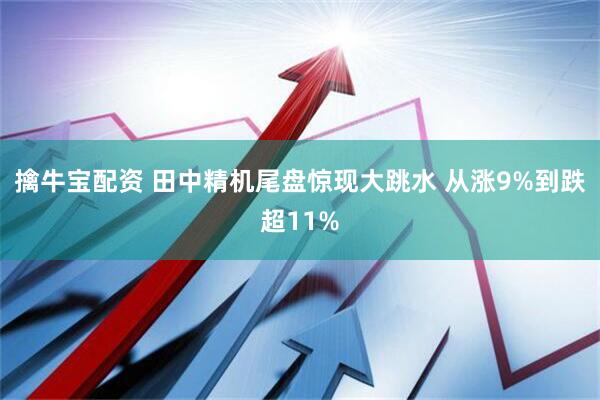 擒牛宝配资 田中精机尾盘惊现大跳水 从涨9%到跌超11%